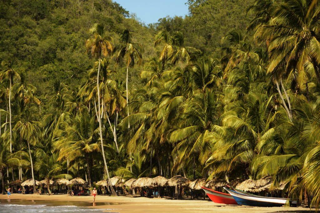 beach venezuela