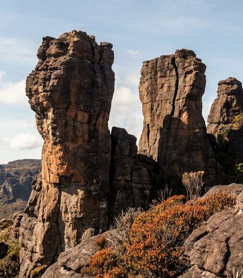 Top of the tepui in Roraima- Venezuela