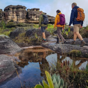 Mount Roraima Trek