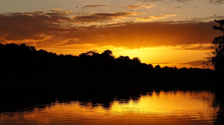 3 days Orinoco Delta Tour 1 Orinoco
