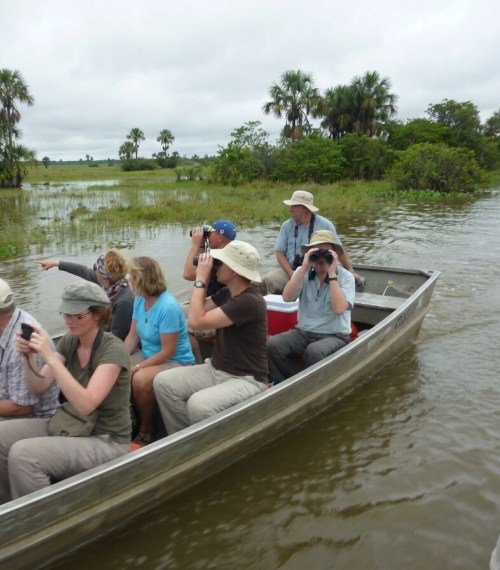 Venezuelan Llanos Wildlife Adventure