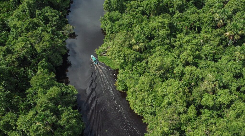2 Weeks eastern Venezuela trip 6 boat excursion orinoco delta logdge