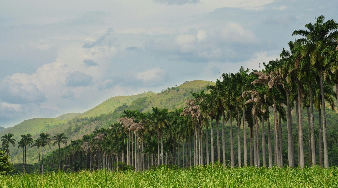 Caracas 9 Caracas Venezuela 21