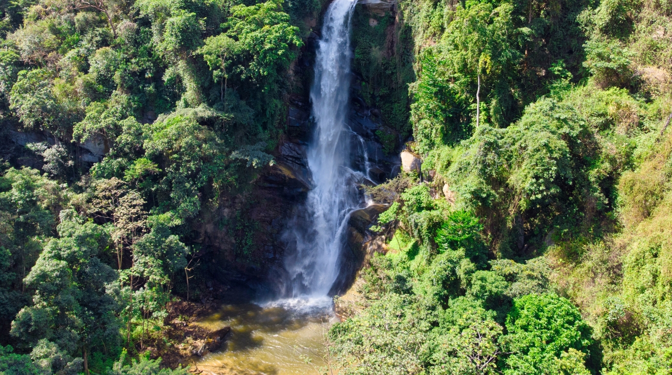 Choroni- Venezuela