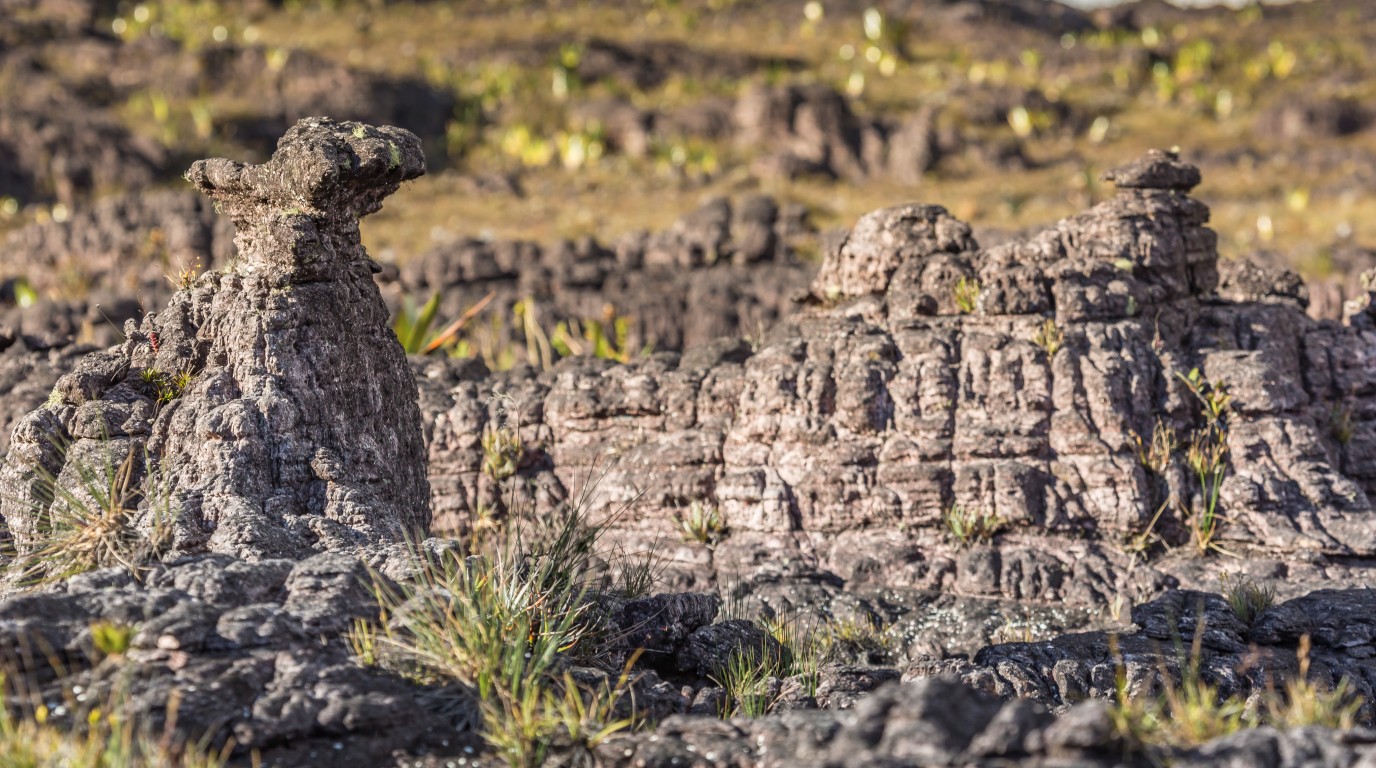 How Did Mount Roraima Form? Geology Of A Tepui 5 Mount Roraima